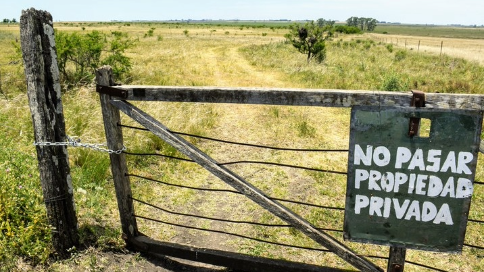 Ley de Inviolabilidad de la Propiedad Privada: Libertad, Progreso y Desarrollo para La Pampa